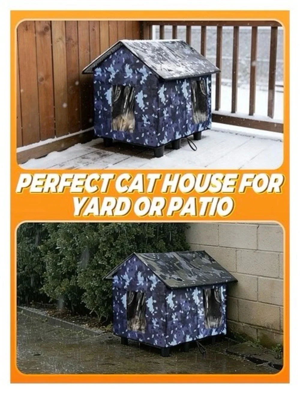 N/A outdoor cat